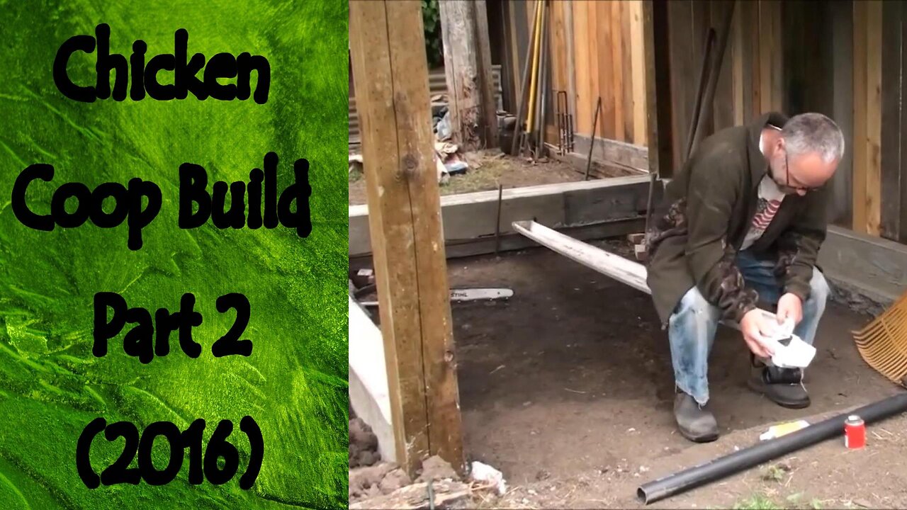 Chicken Coop Progress with Mr. Rain PART 2 (2016)