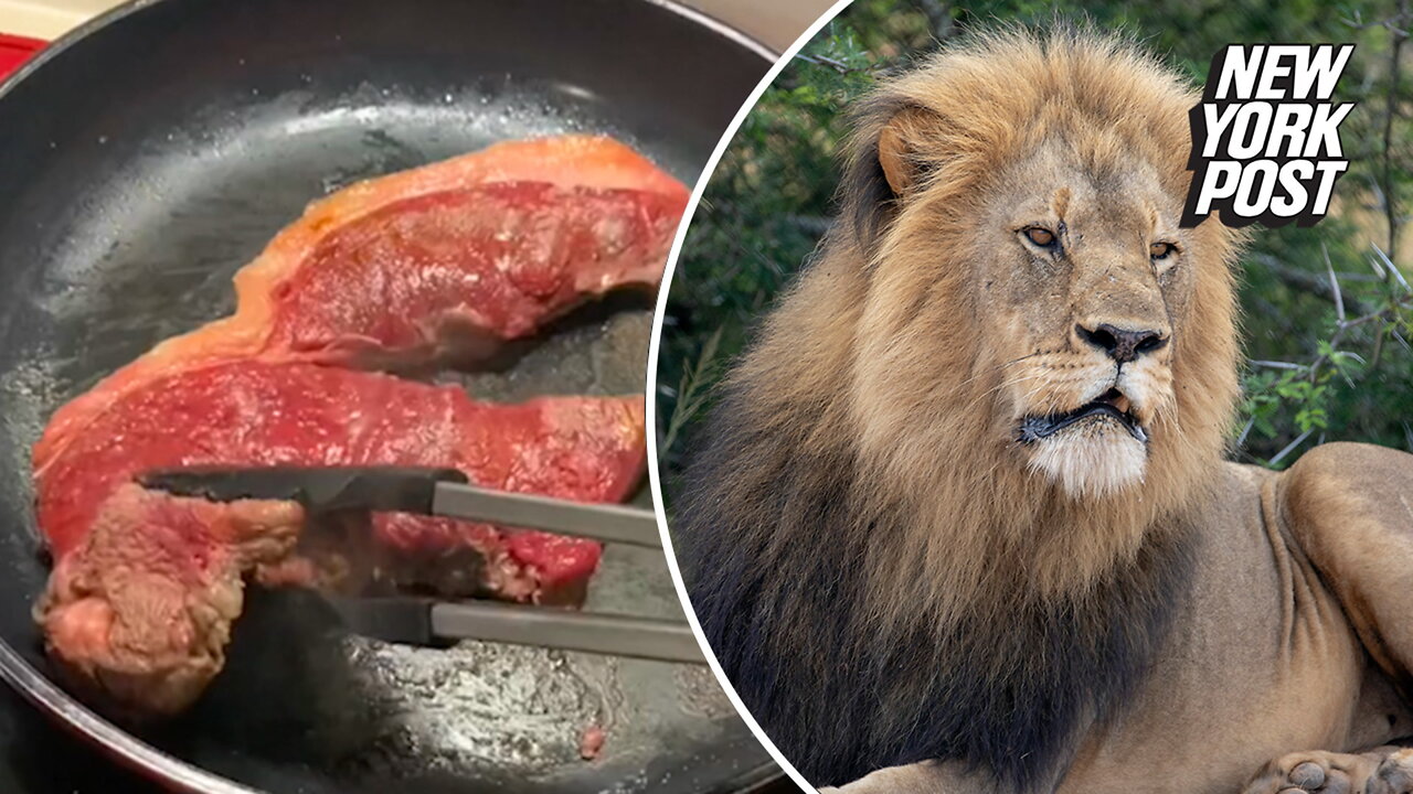 Viral TikTok trend 'The Lion Diet' called a 'cure-all' — but is it safe?