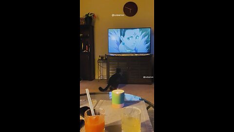 Funniest Cat Video Compilation Try not to laugh