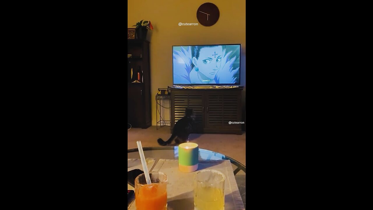 Funniest Cat Video Compilation Try not to laugh