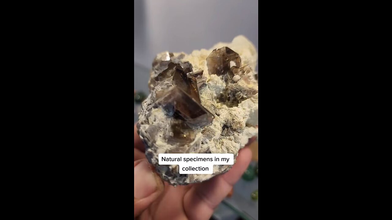 Natural specimens collection