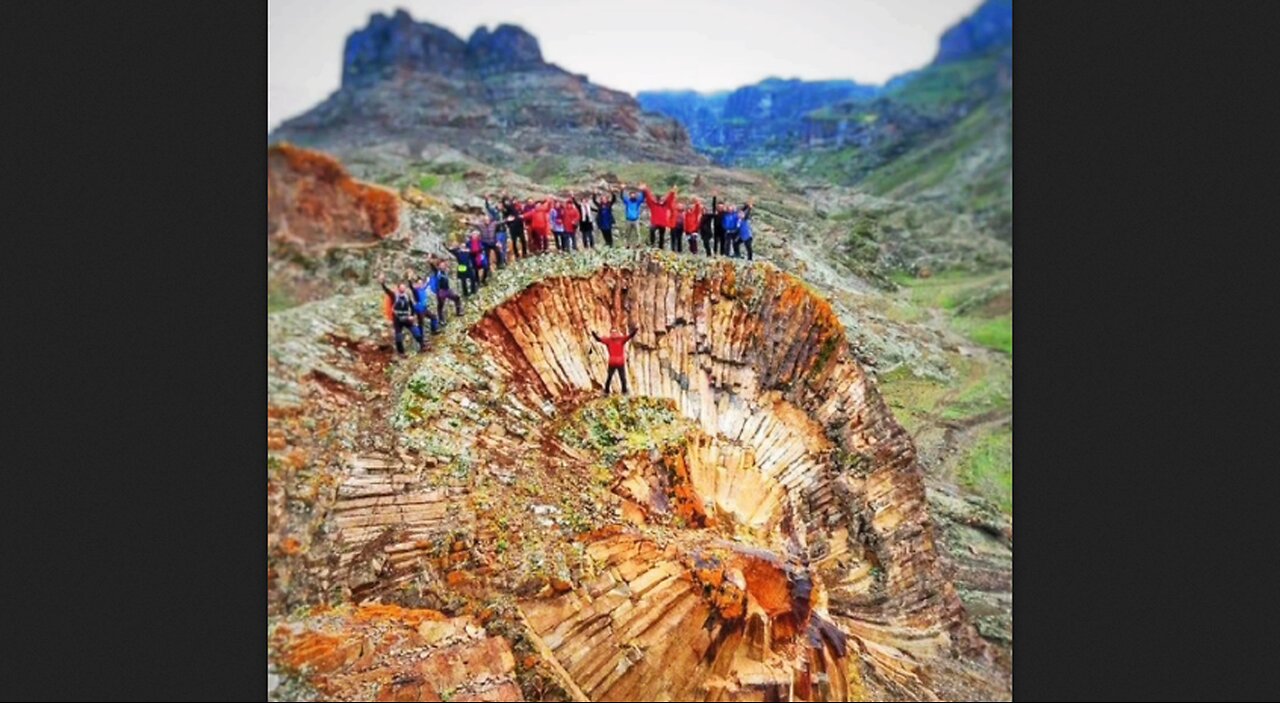 This world is full of the remnants of our ancient massive forests