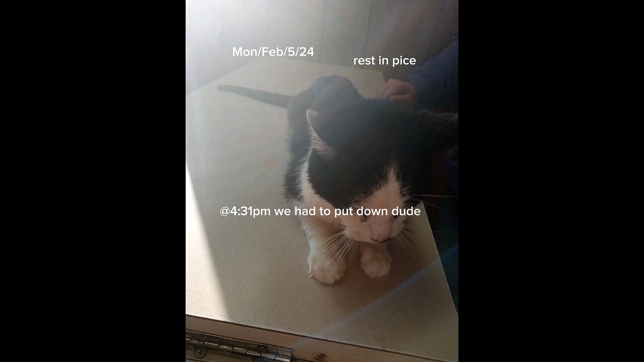 dude is resting now he is no longer in pain (R.I.P)