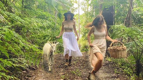 Daily Life in the Rainforest: A Wonderful Journey to Live in Perfect Harmony with Nature 