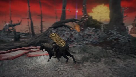 ELDEN RING_Visage Shield