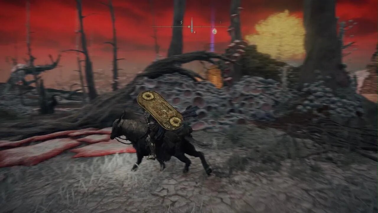 ELDEN RING_Visage Shield