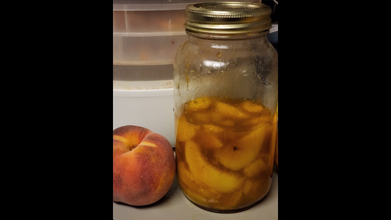 Utilizing every aspect of fruit when Dehydrating *Syrup making