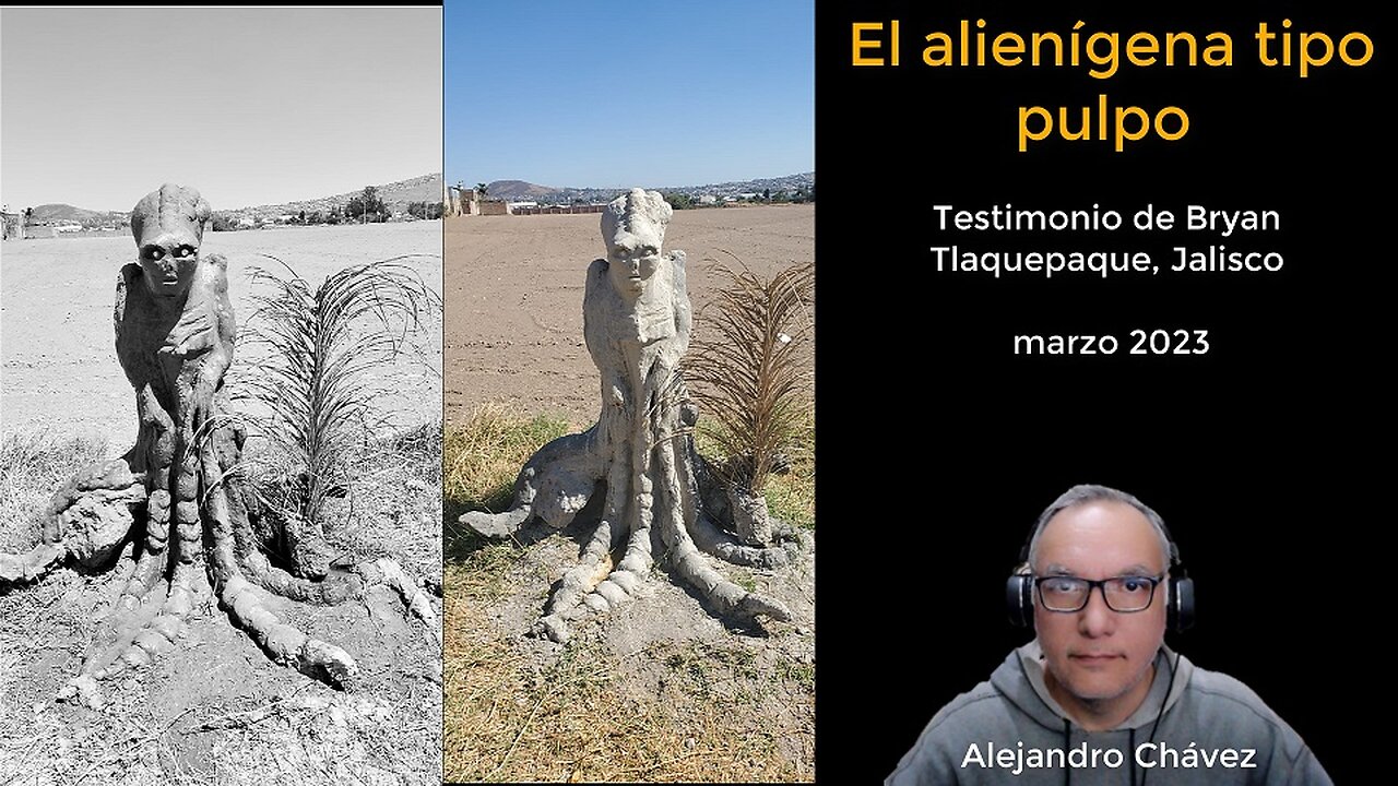 Pulpo volador visto en Tlaquepaque Jalisco