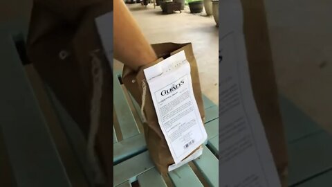 Blessed 🥹 to find the best peas around! #shorts #viral #tiktok