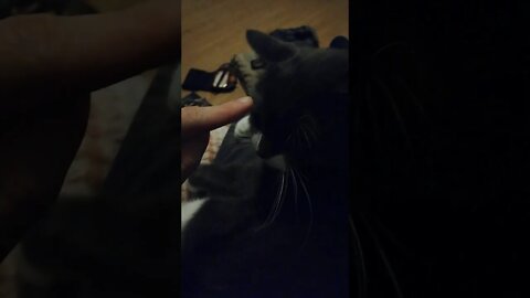 such a cute fighter🥰