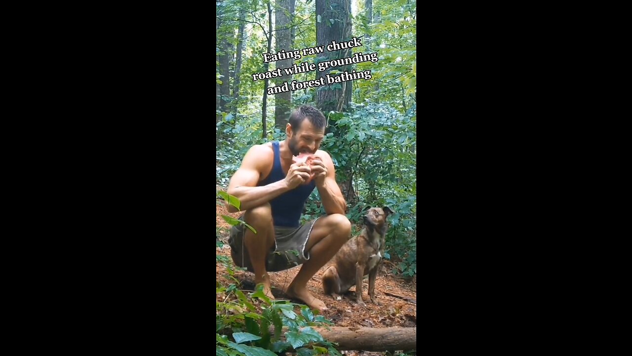 Eating raw beef while grounding and forest bathing!