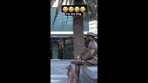 pat_ the _ dog😆 # funny prank