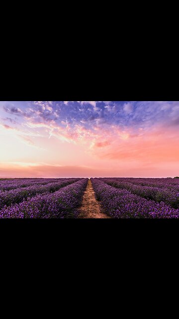 Enhance your ambiance with continuous spray, colorful lighting