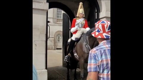 Get off the Reins #horseguardsparade