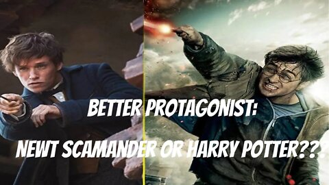 Better Hero: Newt Scamander or Harry Potter???