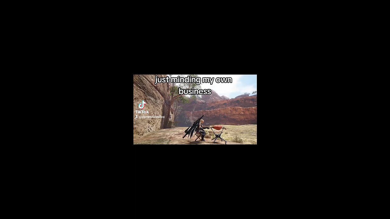 Monster Hunter Shenanigans