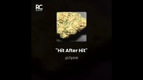 Ziplok - Hit After Hit - Leafly