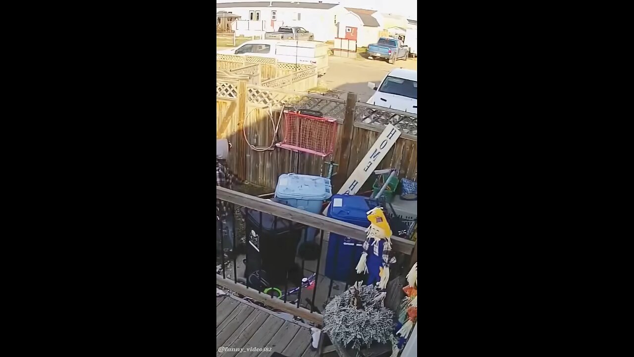 Funny moment | try not to laugh 😂 lol 😂