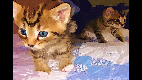 Trending cute cat 😺 funny fail opps moment clip #short video