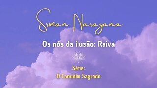 Os Nós da ilusão: Raiva