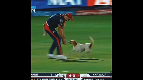 dog found in a cricket ground 🫣😱