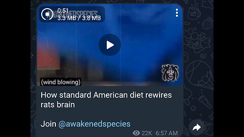 Documentary: Standard American Diet versus Rat