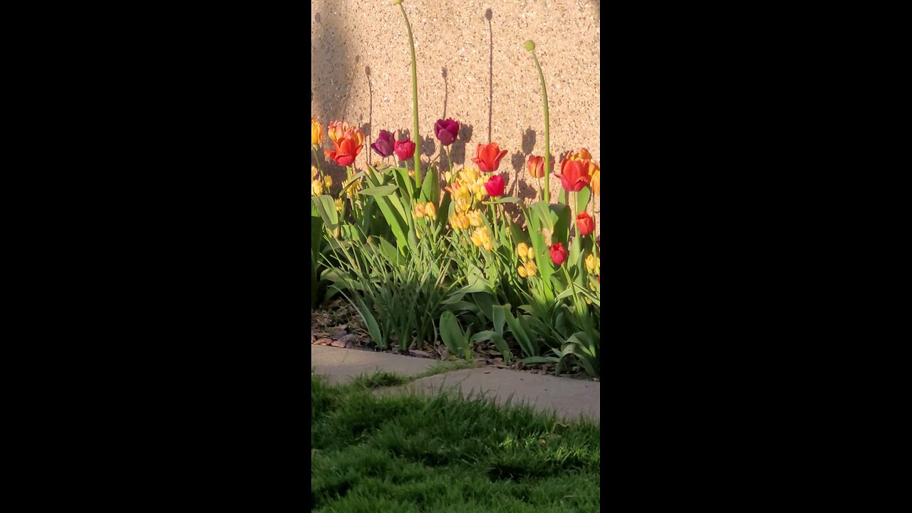 Spring has sprung