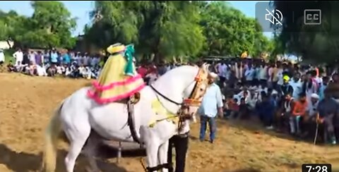 Horse ka dance karta hua Indian