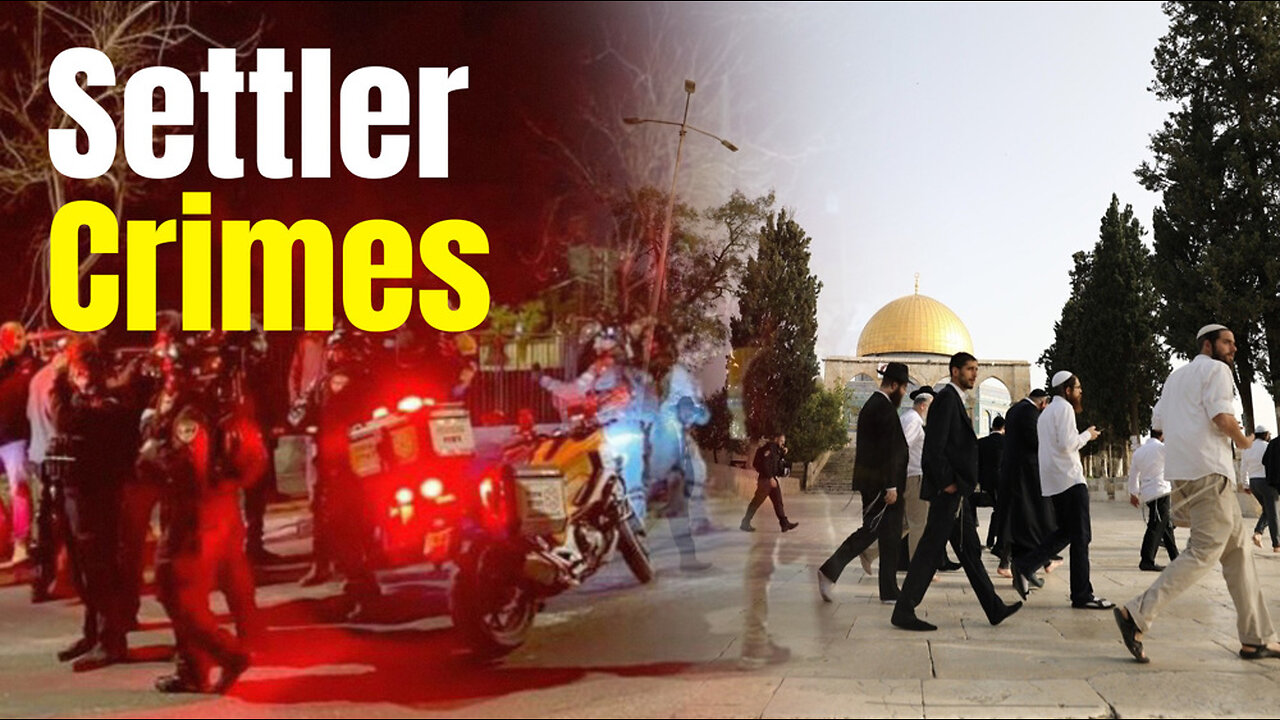 Settler Crimes