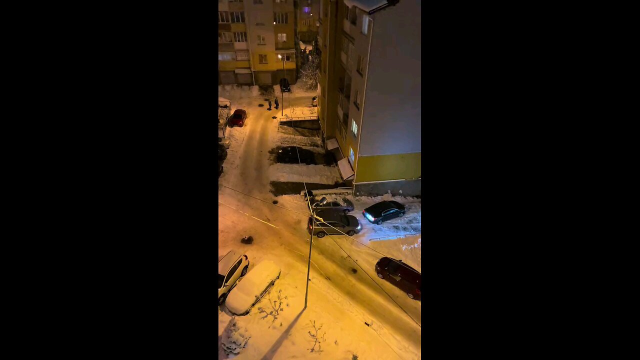 funny videos