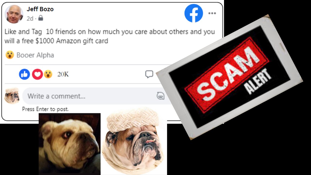 2023 Scam of the Year! - Watch Until the END