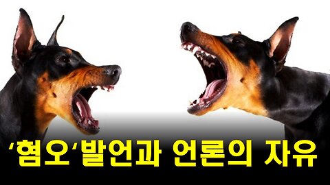 언론의 자유를 우회적으로 억압하는 용어들