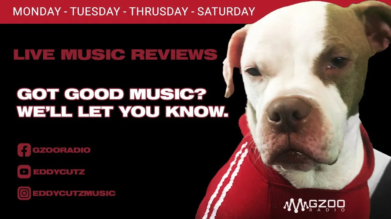 #THURSDAY Showcase your music to multiple platforms! GZOO Radio Live Music Review