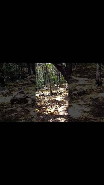 #Khool4TheSommertimeSnakes