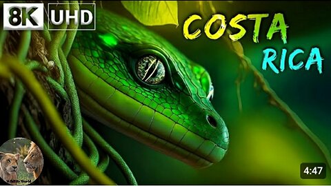 COSTA RICA 8K Video Ultra HD 60 FPS Wildlife World