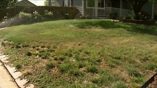 New water conservation proposal in Aurora would limit use of natural grass