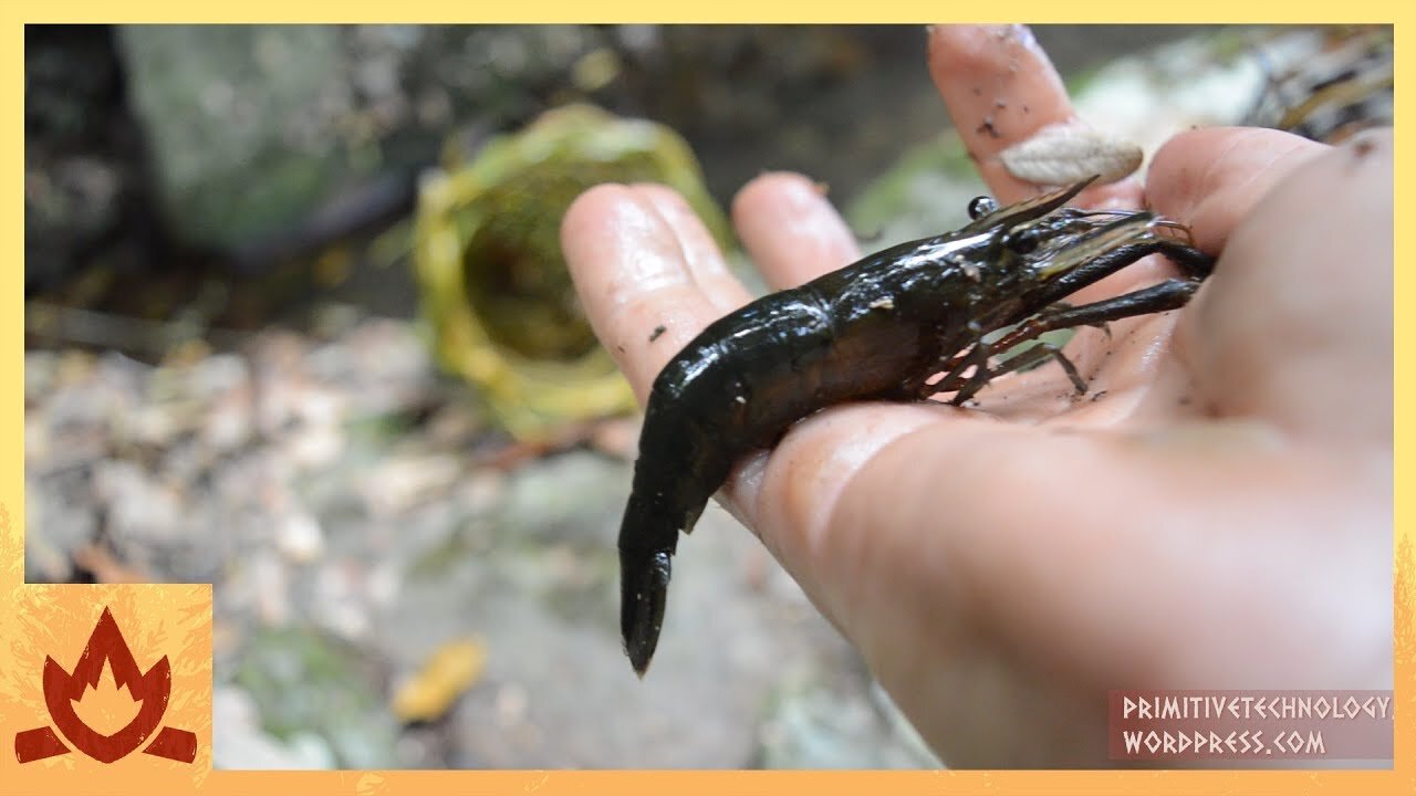 Primitive Technology: Freshwater Prawn Trap