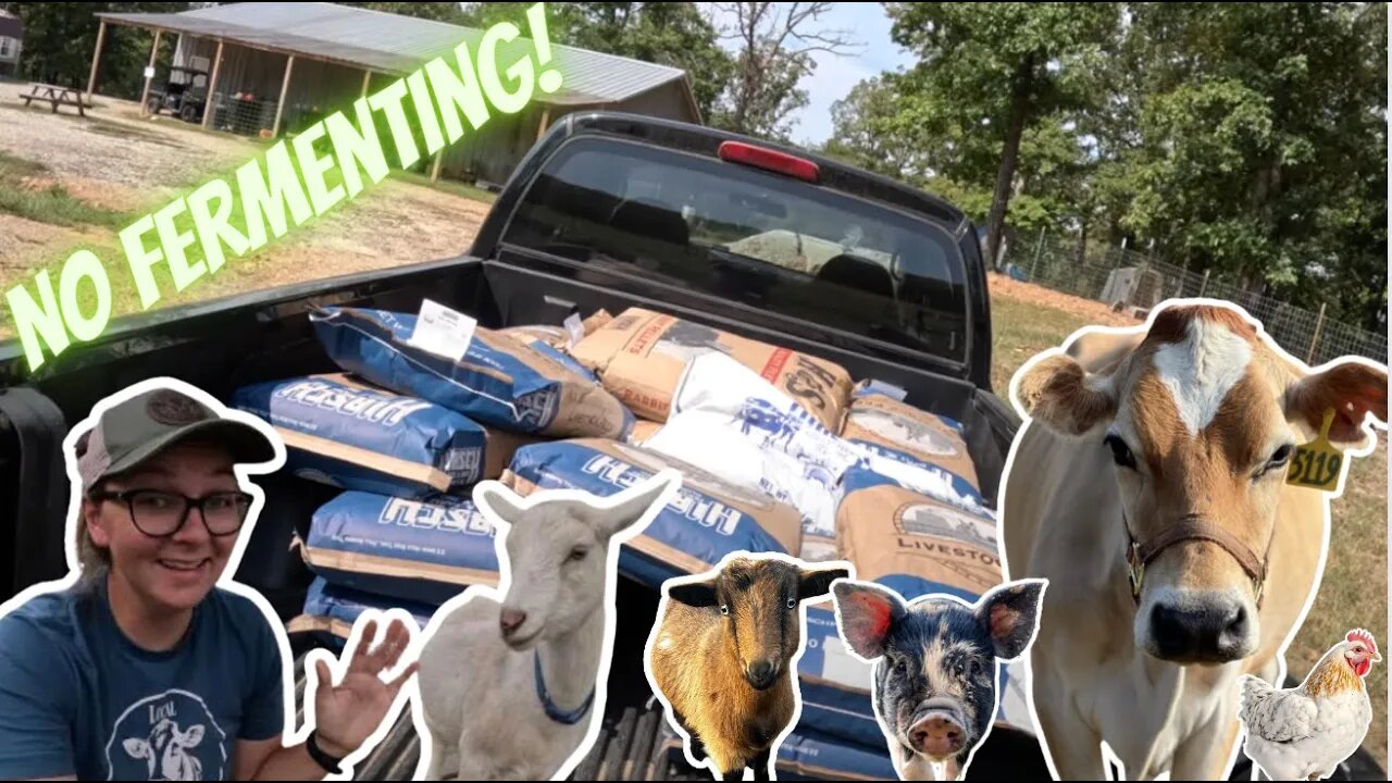 How we save money on feed | Three Little Goats Homestead Vlog