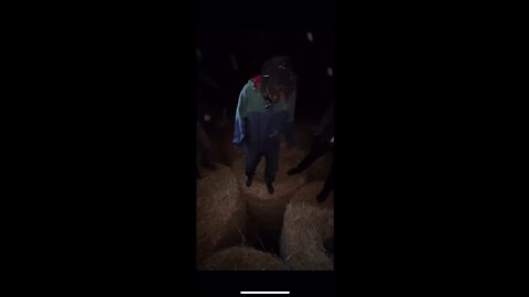 Dude has a death wish