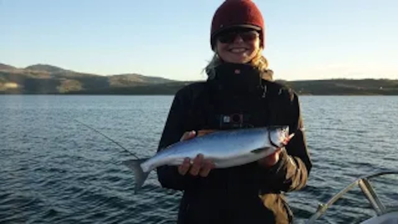 Kokanee Salmon at Soldier Creek, Strawberry Reservoir, Utah 2021