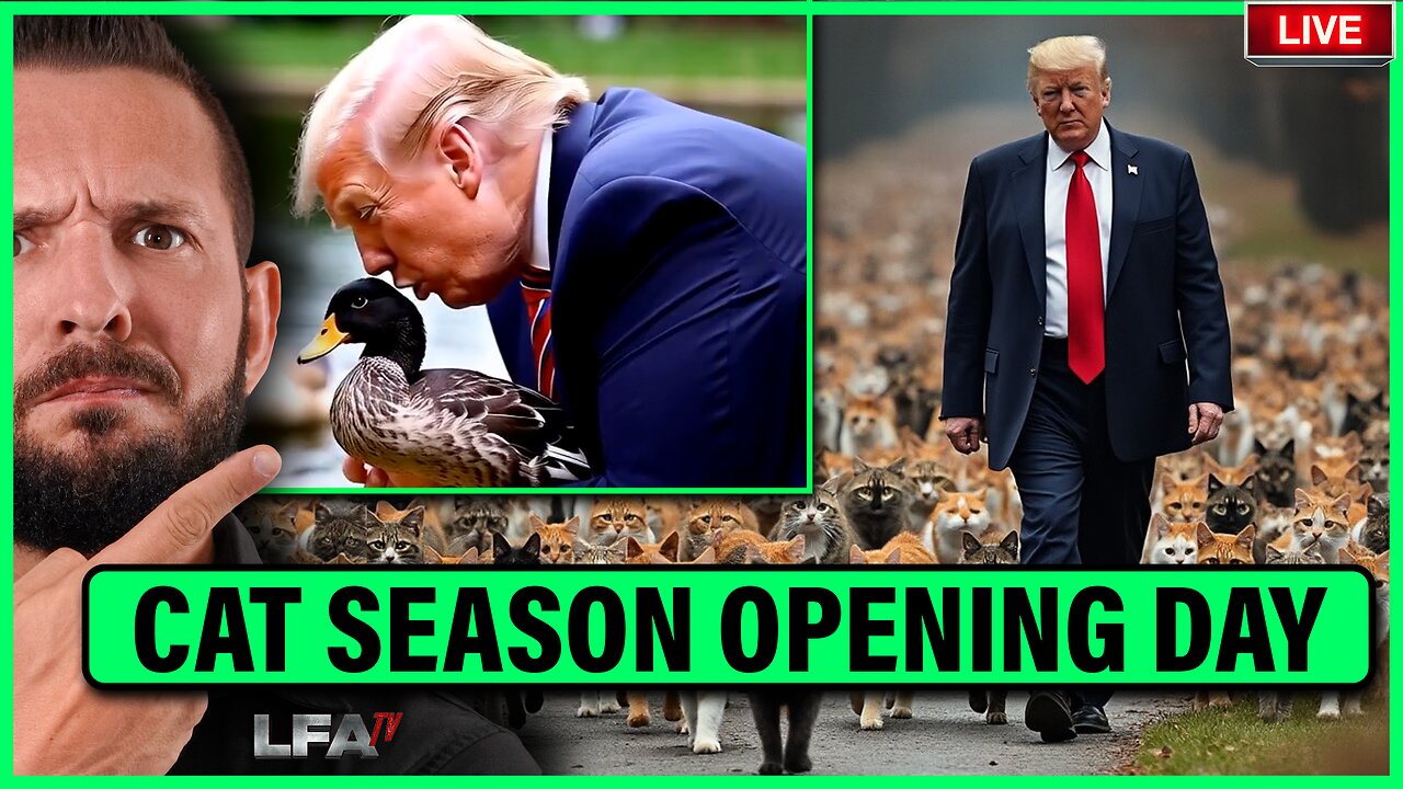 HAITIANS ARE HUNTING AND KILLING CATS, AND DUCKS. CATS FOR TRUMP GOES VIRAL? | MATTA OF FACT 9.9.24 2pm EST