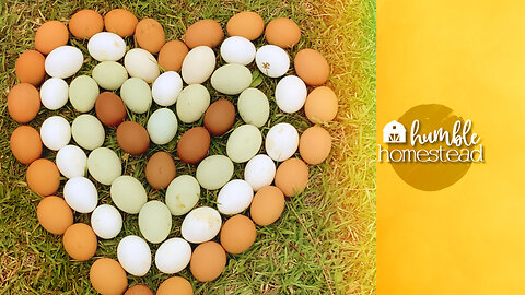 Eggs Can Make Art!