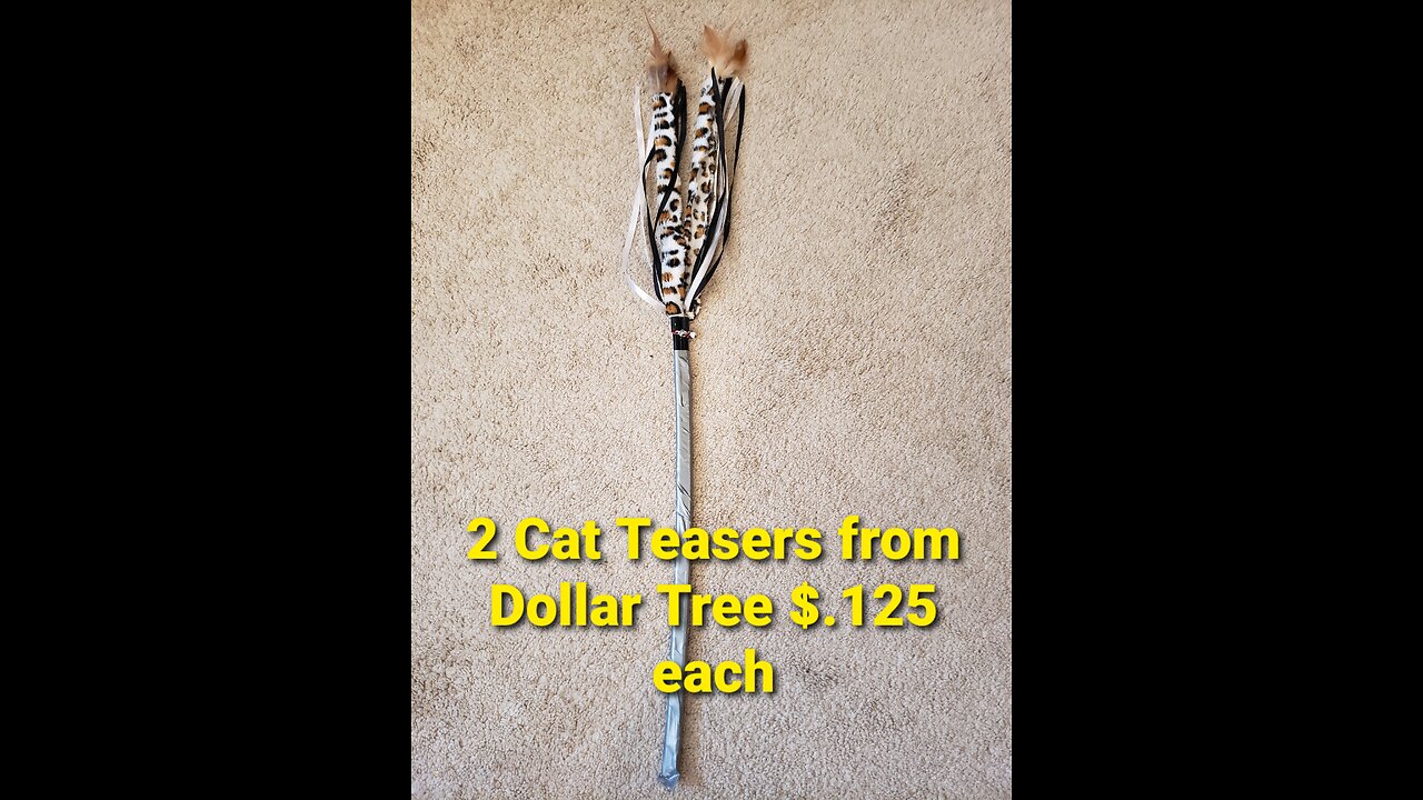 Fishing Pole Cat Teaser Hack