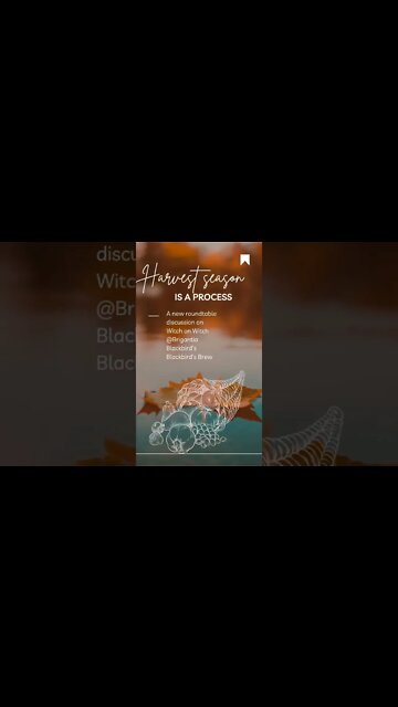 Premiering Tomorrow @Brigantia Blackbird's Blackbird's Brew