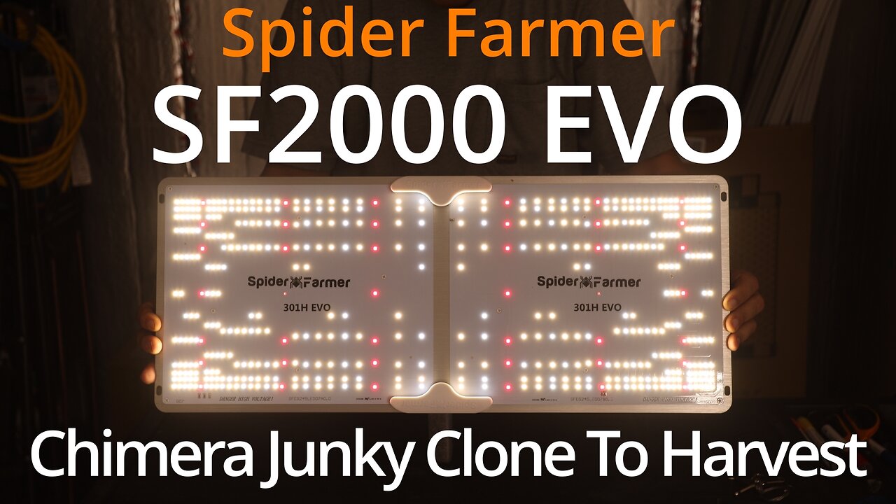 Spider Farmer SF2000 EVO: Chimera Junky Grow Cycle Clone To Harvest