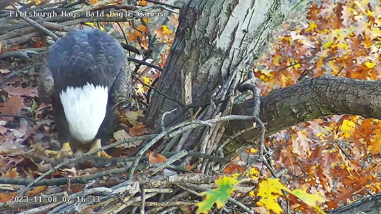 Hays Eagles Mom Fixing Crib Rails (Closeup) 11.08.23 7:14am