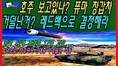 호주 보고있나? 퓨마 장갑차 거덜난거? 레드백으로 결정해라