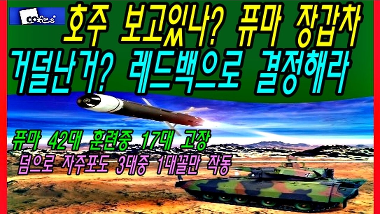 호주 보고있나? 퓨마 장갑차 거덜난거? 레드백으로 결정해라