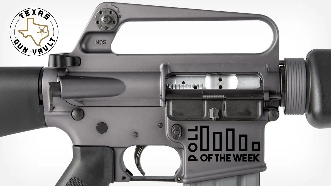 REUPLOAD - TGV Poll Question of the Week #41: Do you like the retro clone firearms?