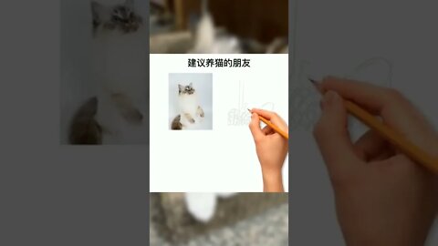 猫咪羞羞事之吃什么能抑制发情？#萌宠#猫#猫咪#宠物